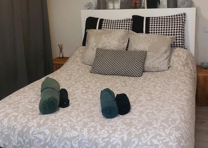 Apartman Puces De Vanves Malakoff